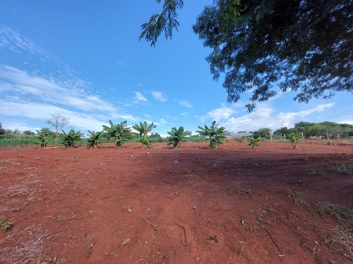 Imagem 6 de 9 de Chácara De 13.709 M² Com Açude À Venda Em Santa Terezinha De Itaipu/pr