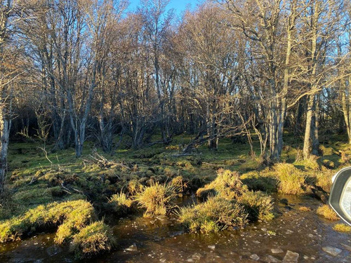 Coyhaique - Balmaceda (64372)