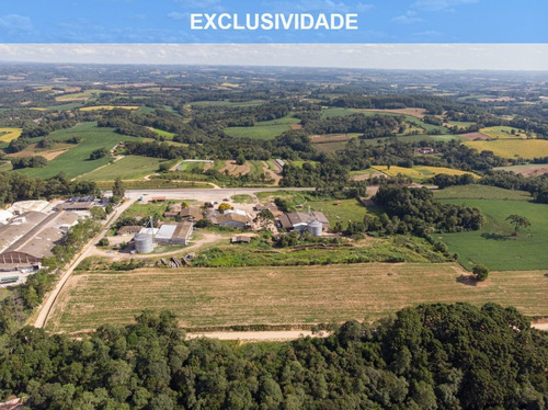 Imagem 1 de 17 de Terreno/ Área 20.000m² A Venda Em Araucária Pr. - Te00002 - 68828711