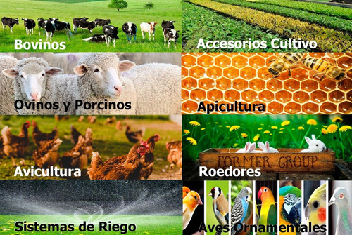 Imagen 10 de 10 de Bebedero Pollos Taza + T X 10un