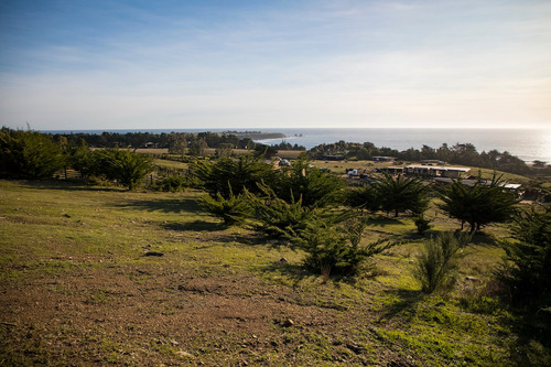Vista Horizonte Punta De Lobos