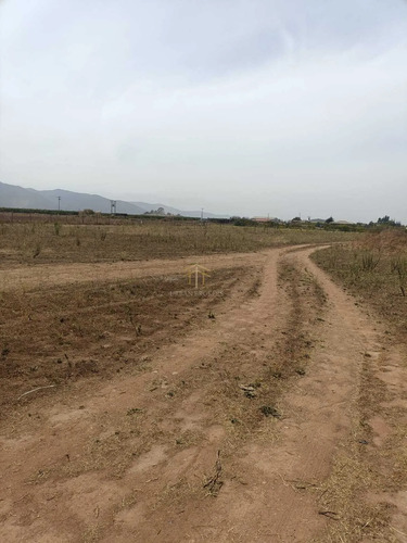 Parcela 6000 M2 Cercana A Ruta 43, Coquimbo (175018)
