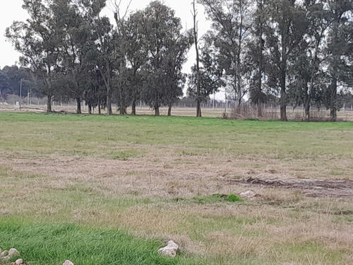 Lote En Venta 850 M2 En Barrio Las Perdices 1 - Financiado