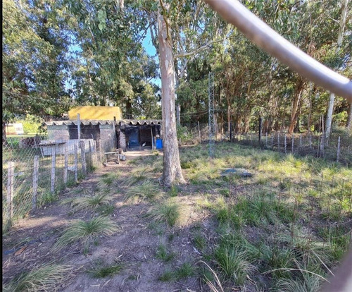 Imagen 11 de 17 de Propiedades Rurales Agricola - Venta