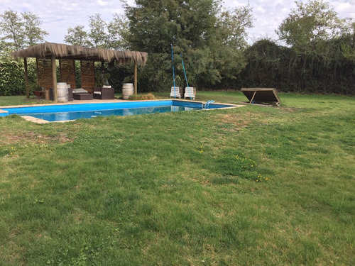 Imagen 5 de 7 de Arriendo Espacio De Parcela Para Actividad
