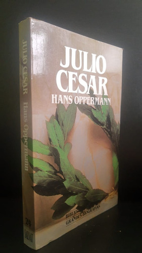 Julio Cesar Hans Oppermann
