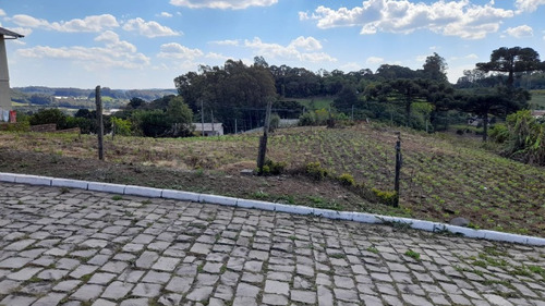 Imagem 3 de 4 de Terreno - Belvedere - Ref: 8868 - V-8868
