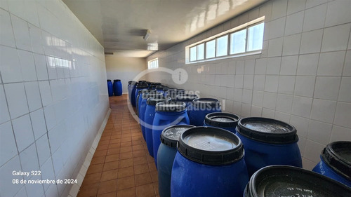 Terreno Construccion En Venta En Limache