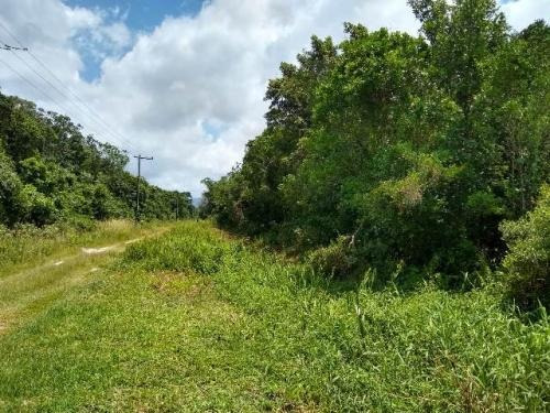 Terreno Lado Serra Com Escritura E Área De 415m² 7734