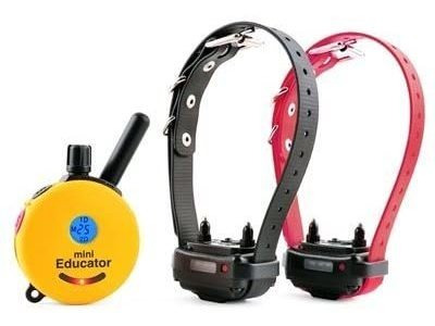 Educator Et-302 - Collar De Entrenamiento Remoto Para Perro