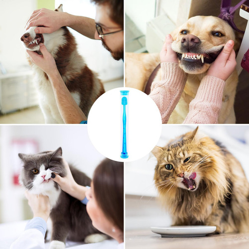 De Dientes Para Mascotas Cepillado De Dientes Limpieza De Di