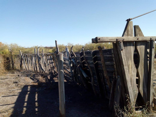Imagen 9 de 26 de Venta Campo 103 Ha General Alvear