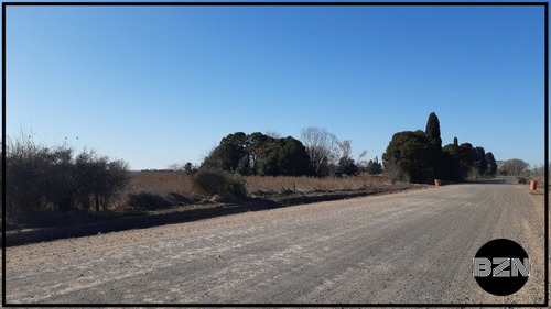 Imagen 8 de 8 de Campo 4 Hectareas En Arrecifes.