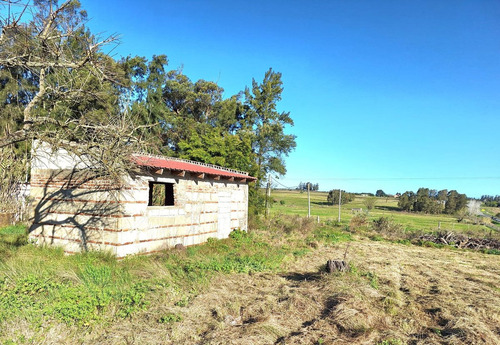 Alquiler De Terreno 5.500m² Sobre Ruta 34 Km. 40