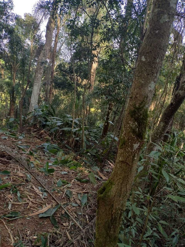 Imagem 7 de 14 de A26- Corra Agora Para Garantir O Seu Terreno Quitado