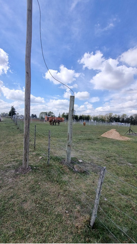 Terreno En Venta En Domselaar. Oportunidad