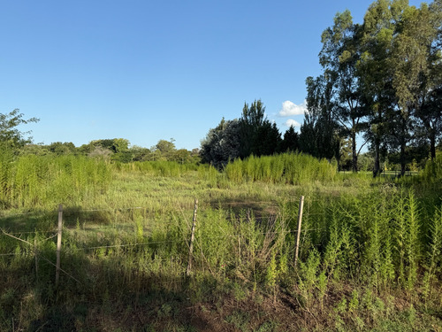 ¡increíble Oportunidad, Terreno En Lobos A La Venta!