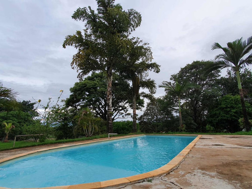 Vende-se Chácara 5000mt2 Mogi Mirim Região De Campinas