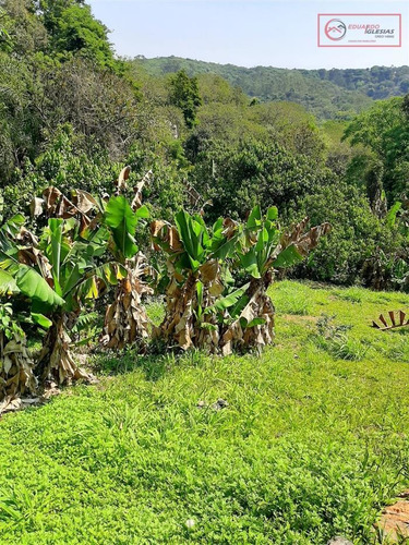 Imagem 24 de 27 de Chácaras À Venda Em Mairiporã/sp - Compre O Seu Chácaras Aqui! - 1485789