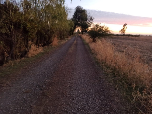 Propiedad Agrícola En Venta, Campo De 31,3 Ha, Rio Claro