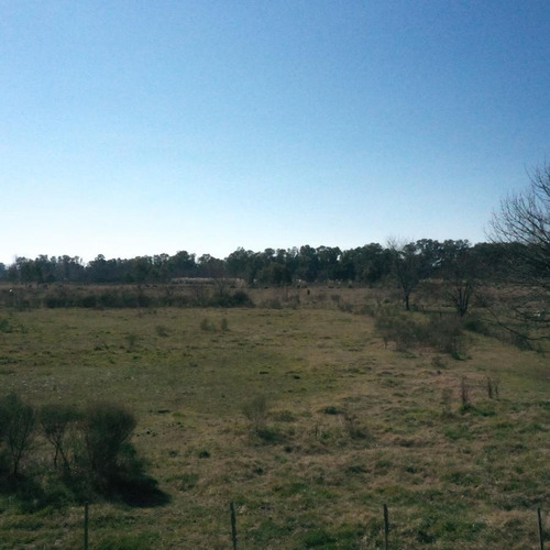 Imagen 16 de 21 de Terreno - Laguna De Lobos