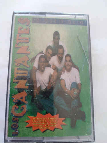 Cassette De Los Cantantes Lo Que Siguio(1043