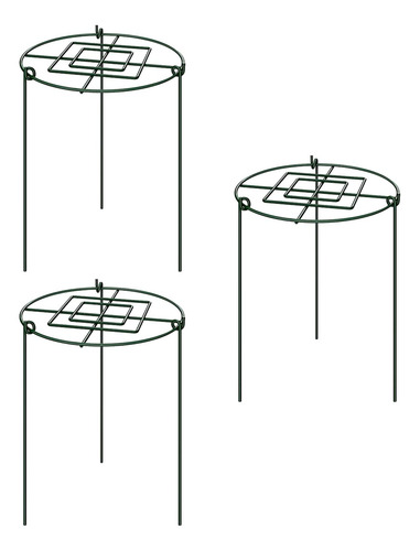 3 Estacas De Soporte Para Peonías Que Crecen A Través De Aro