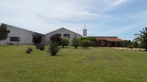 Vendo Chacra Viñedo Con Bodega Y Cinco Casas