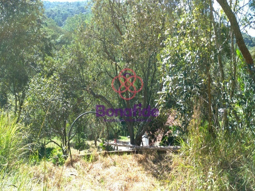 Imagem 24 de 30 de Chácara, Mato Dentro, Franco Da Rocha - Ch07885 - 70305451