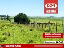 Comprar Arrendamiento Campo 3500 Hectáreas Ganaderas P De Los Carros