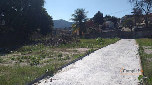 Imagem 9 de 14 de Terreno À Venda, 6000 M² Por R$ 4.000.000 - Taquara. - Te0025