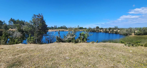 Venta Terreno-sitio  Sector Rulo En Calbuco