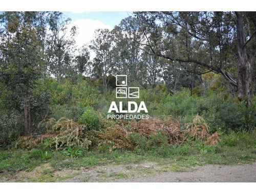 Imagen 6 de 11 de Terreno Punta Colorada Piriápolis Venta Te201488