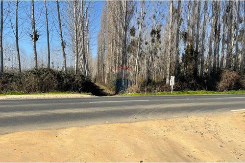 Venta De Terreno Agrícola Coltauco » Vi Región.