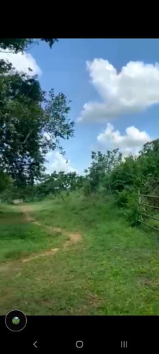 Imagen 4 de 9 de Finca En Venta Tinaco Cojedes