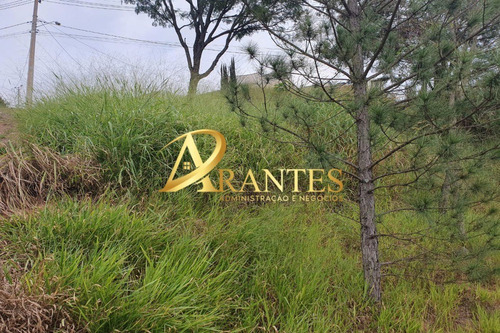 Imagem 4 de 6 de Terreno - Te00012 - 69660815
