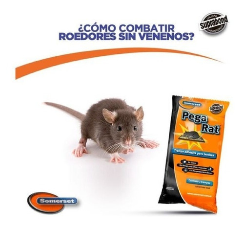 Imagen 2 de 3 de Trampa Adhesiva Suprabond Para Lauchas - Pegarat - No Tóxico