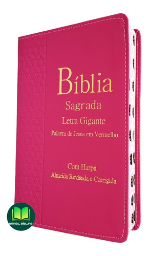 Bíblia Sagrada Letra Grande Luxo Almeida Harpa Feminina Sbb