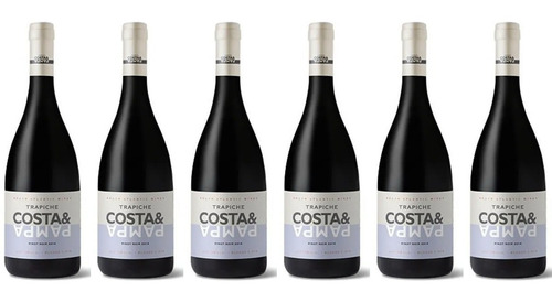 Vino Trapiche Costa & Pampa Pinot Noir X750cc Caja X6