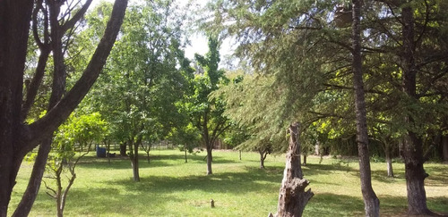 Imagen 6 de 10 de Venta De Quinta - Zona Fcio. Varela, Pasaje La Carolina