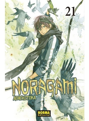 Noragami No. 21