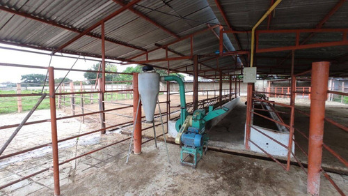 Imagen 6 de 14 de Venta Finca, Guigue Planta Cod. 155496