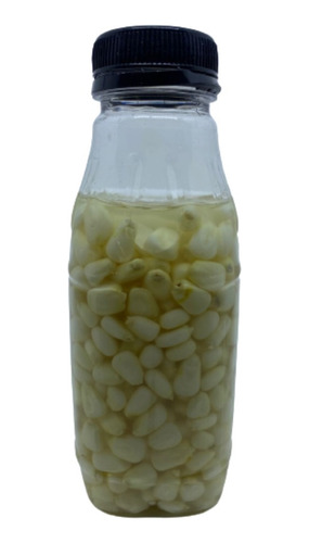 Isca Milho Branco Azedo Para Pesca Piapara Piau Curimba
