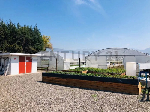 Inversión Agroindustrial Lista Para Operar | 1 Hectárea T...