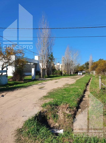 Imagen 6 de 11 de Terreno - Villa California