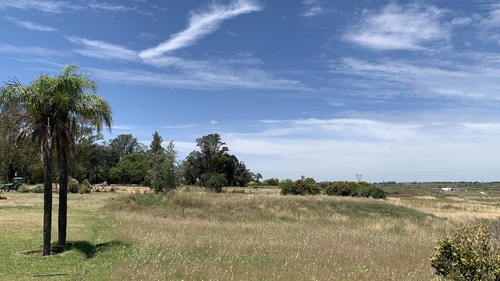 Venta Lote 664 M2 Zarate Golf Park