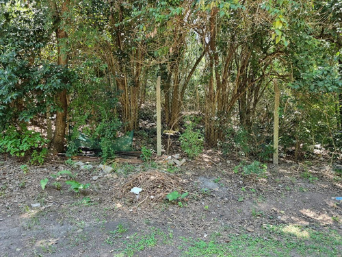 Imagen 4 de 5 de Terreno - Rio Lujan