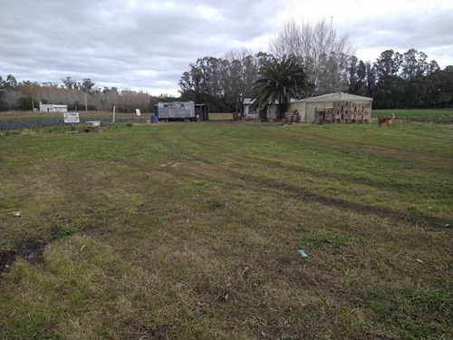 Imagen 3 de 3 de Lote Para Siembra O Loteo Zona Batan