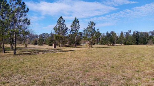 Imagen 12 de 18 de Lote En Venta En Pilar (country Con Golf)