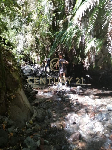 Hermoso Campo En Las Faldas Del Volcán Yates